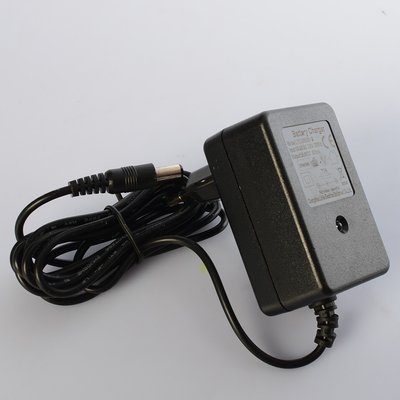 Зарядний пристрій 24V 500 mAh для дитячого електромобіля 9046 фото