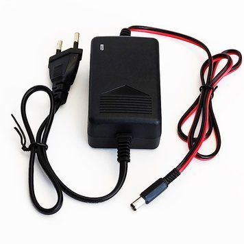 Зарядное 12V 1500mah для детского электромобиля штекер 5.5 мм 1351 фото