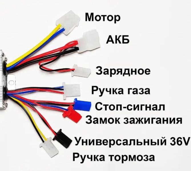 Комплект для коллекторного мотора 36 вольт 800 ватт 368001 фото