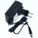 Зарядное устройство для детского электромобиля 12V 800mAh разъём 5 мм 1186 фото 1